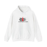 Discipline is Dope Unisex Heavy Blend Hoodie